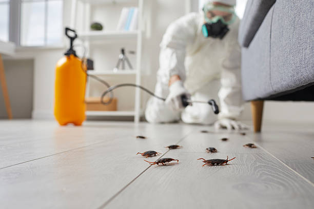 Trusted Rodent Control service in East Berlin, PA - Nex Pest Control